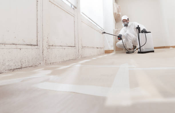 Post-remediation clearance in Bay Pines